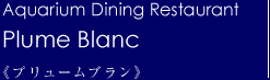 Aquarium Dining Restaurant Plume Blanc プリュームブラン