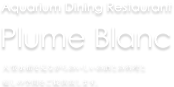 大型水槽を見ながらおいしいお酒とお料理と癒しの空間をご提供致します。